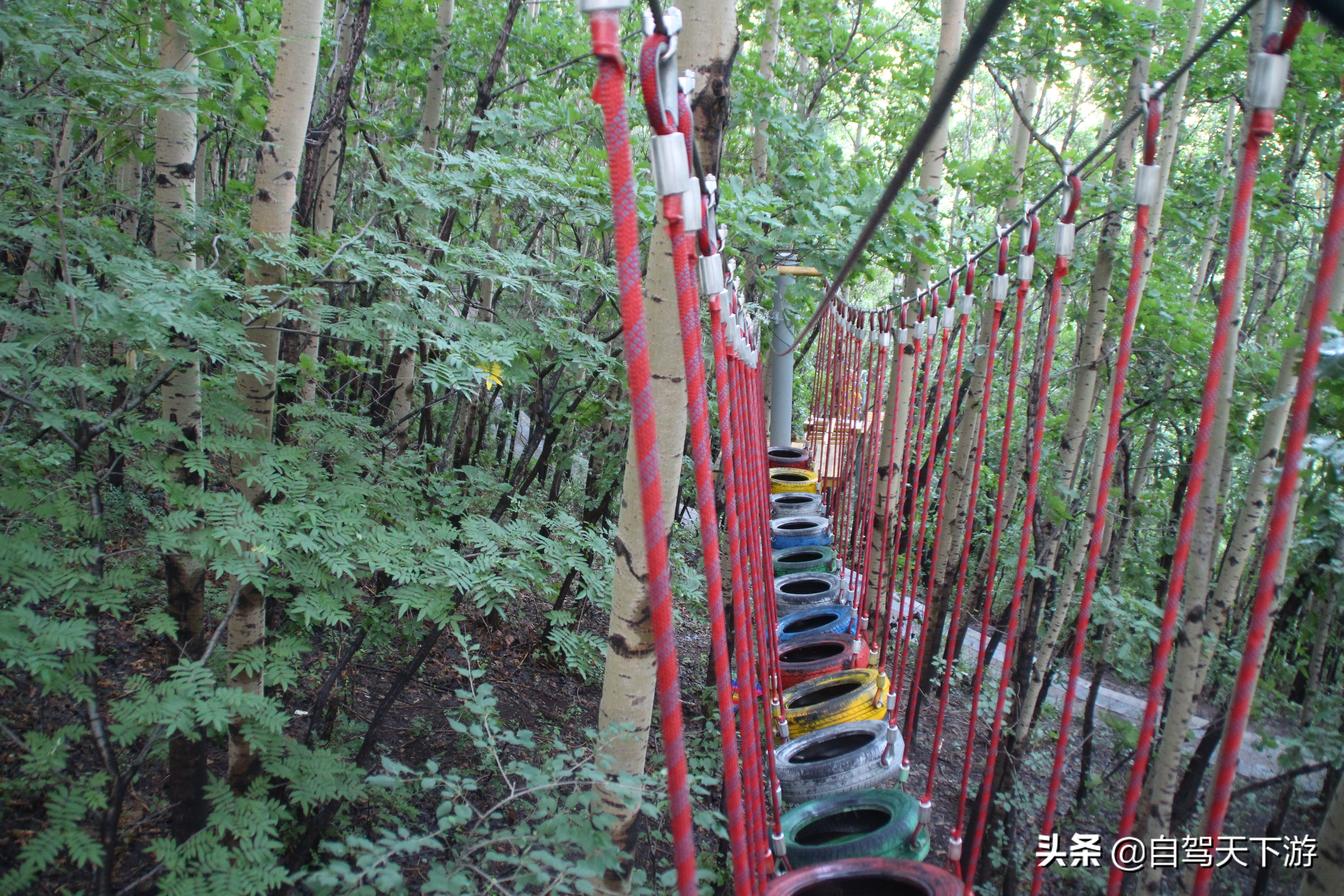 野三坡白草畔攻略,野三坡白草畔自驾游