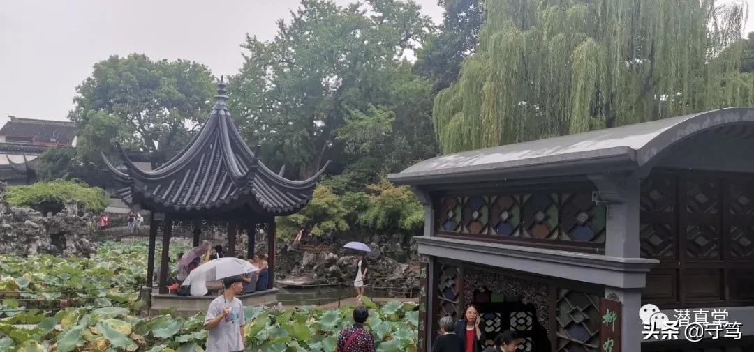 苏州园林一日游最佳攻略,苏州园林旅行攻略三日游
