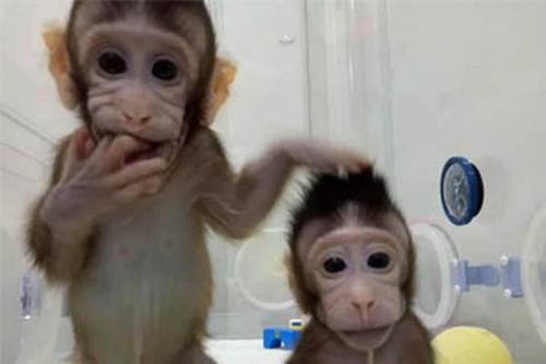 70年中国科技发展史,我国2020年的科技发展史