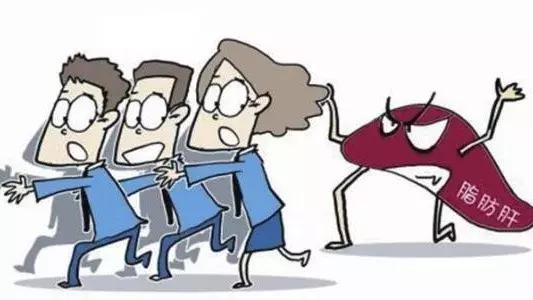 体检查出脂肪肝转氨酶100算不算高,体检查出脂肪肝影响录取吗