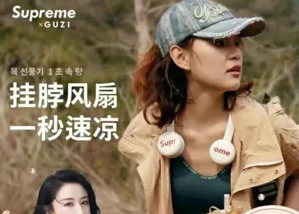 薇娅售假后续,薇娅侵权事件