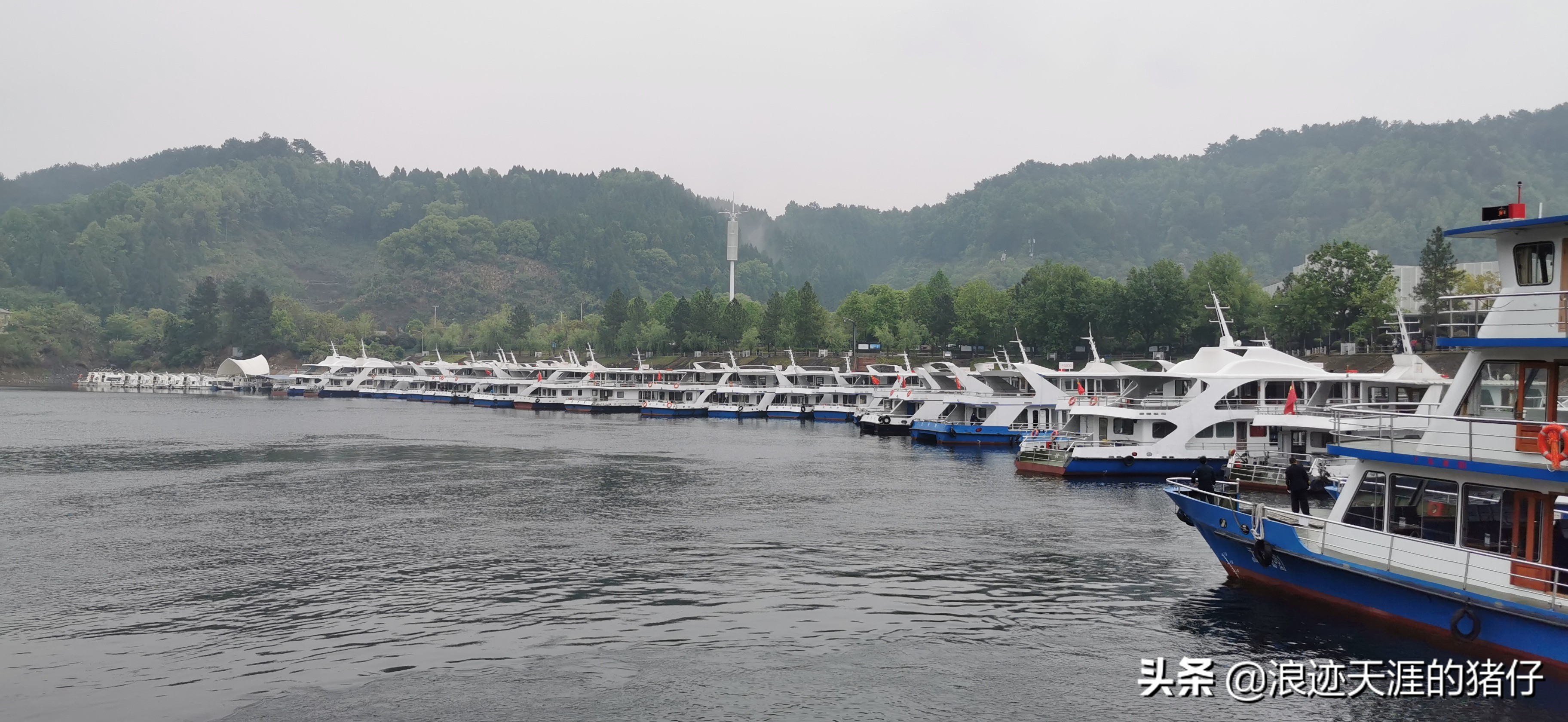 千岛湖疫情政策,千岛湖景区半价优惠