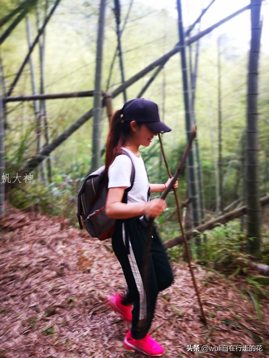 福州十八重溪徒步路线,福州森林公园登山徒步路线