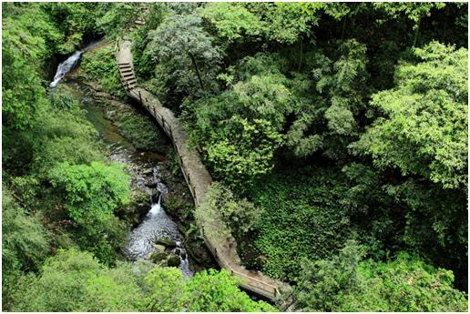 重庆神龙峡漂流攻略一日游多少钱,武义神龙峡漂流和九龙谷哪个好玩