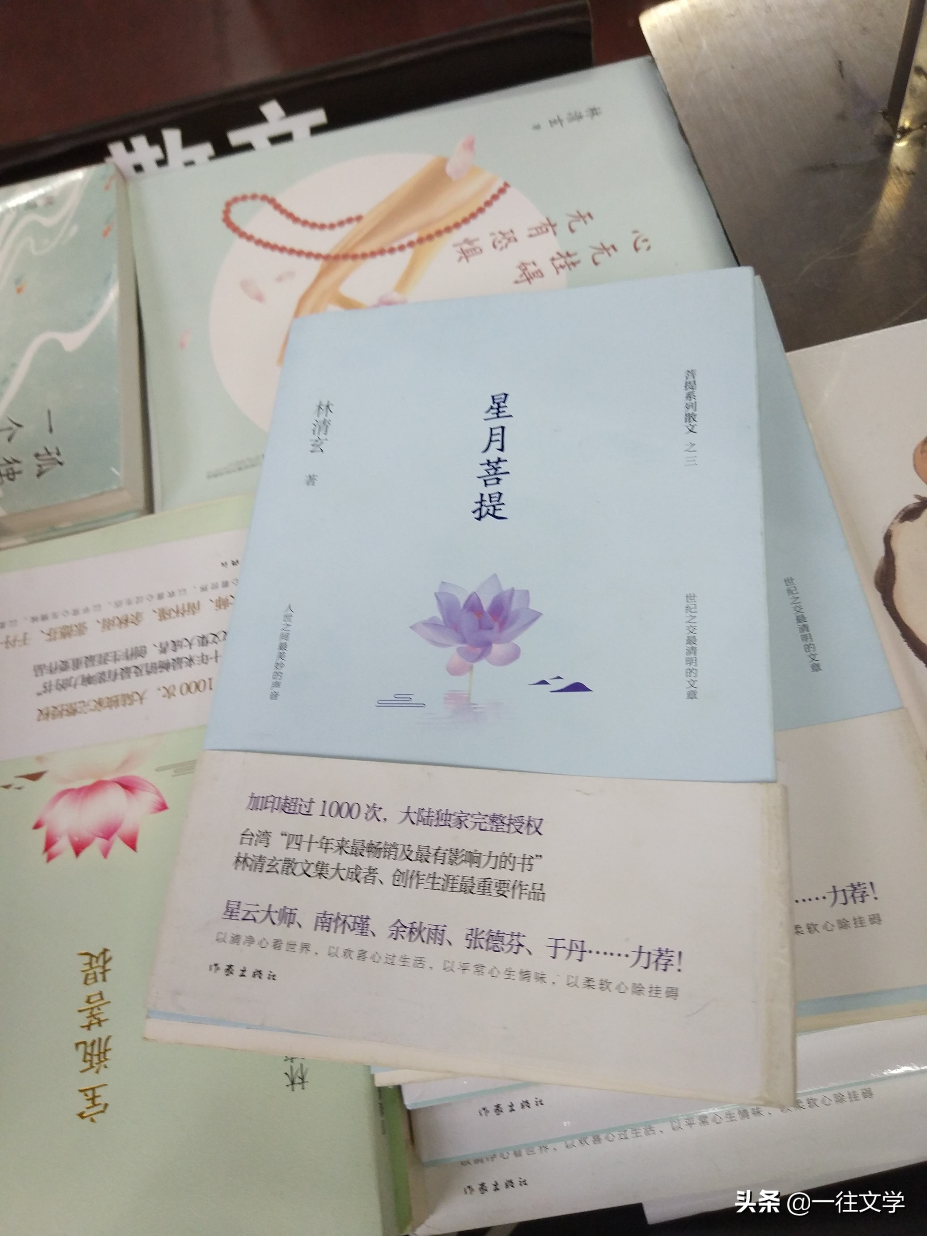 林清玄不要忘了飞翔的姿势,林清玄代替我们走茫茫的夜路