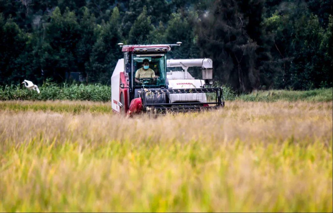 新型农业机械推广活动,丰收节农业机械