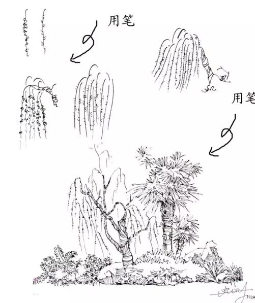 速写风景简单入门视频树木石头,干货40种水彩花卉临摹素材