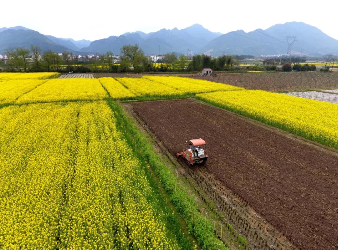 今日几点几分春分,今年春分节气日