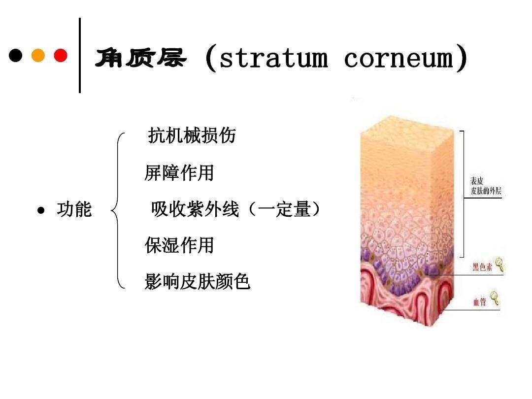 怎样清除脸上的角质,皮肤角质清理指南