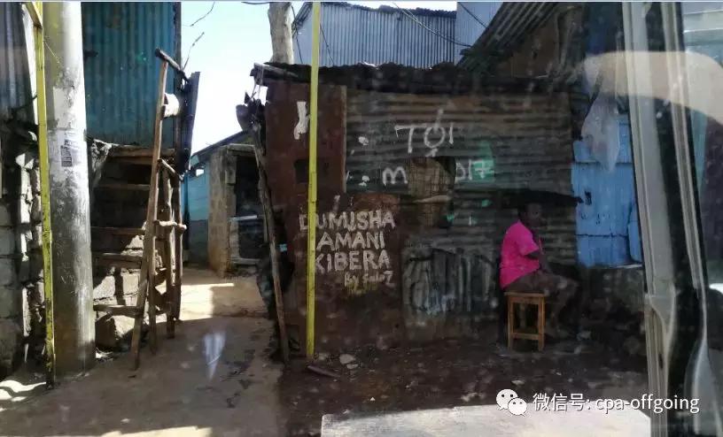 这个野奢的国度，欧美、日韩人都爱去，为何我们国家没人去？