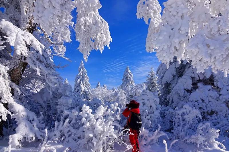 吉林延边旅游攻略,吉林延边旅游攻略亲子游