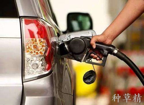 粘鼠板粘到老鼠怎么去除,粘鼠板粘到老鼠怎么处理