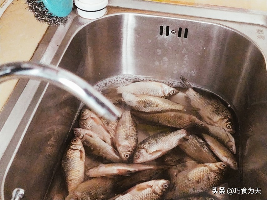 夏季卖鱼用什么可以保鲜,怎么保存活鱼最新鲜