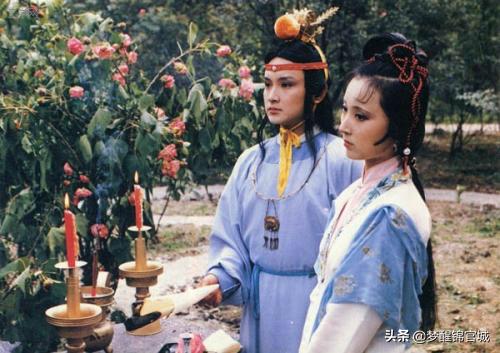 红楼梦为什么写姽婳词,姽婳红楼梦