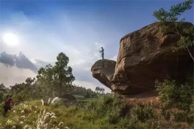 再过2天！仁寿森林音乐节来了，桐子花开满山头，粉白若雪！