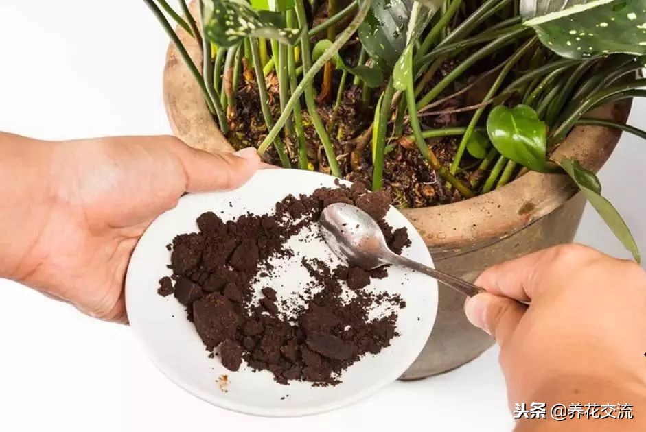 自制有机肥料的方法,在家制作有机肥料的方法