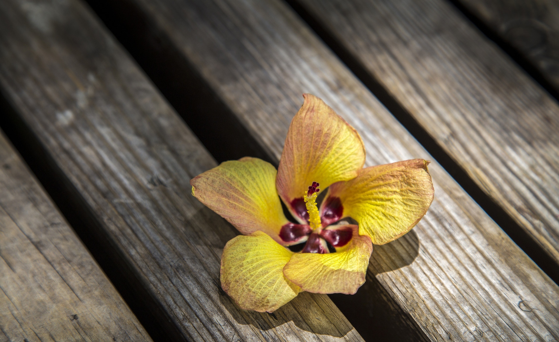 失恋了怎么办如何走出分手的痛苦,12星座分手后什么时候能走出失恋
