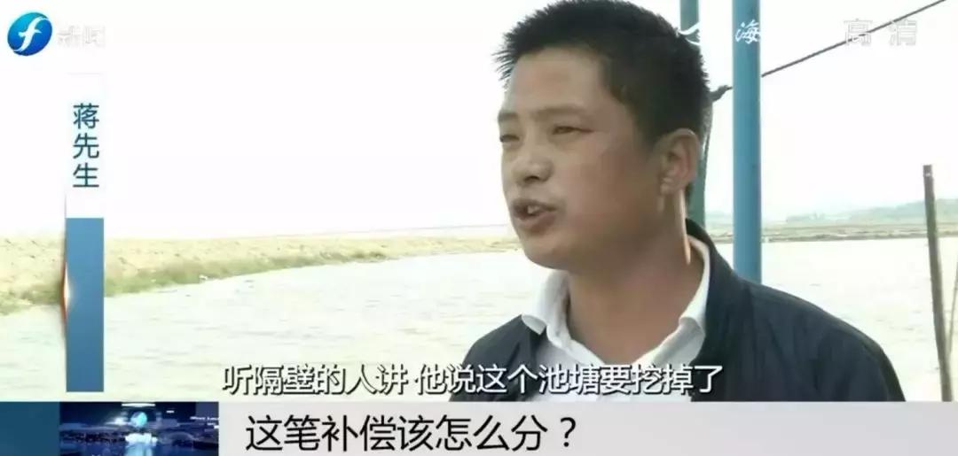 闹心|眼看快收成了，却遇上了麻烦事！这笔清退补偿究竟该怎么分？