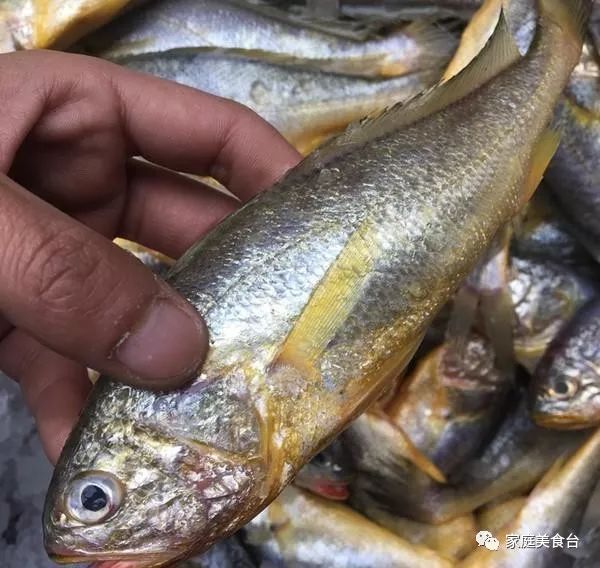 市场能买到的纯正海鱼有哪些,最便宜实惠的海鱼