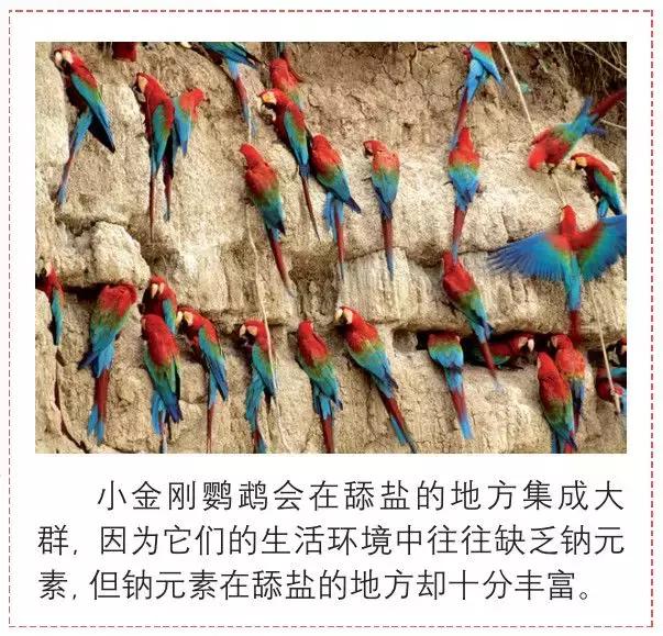 大人和孩子都不可错过的绘本,值得孩子看的4本经典绘本