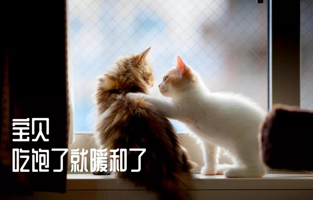 天气热食欲更强的原因,高温天气食欲不振的原因