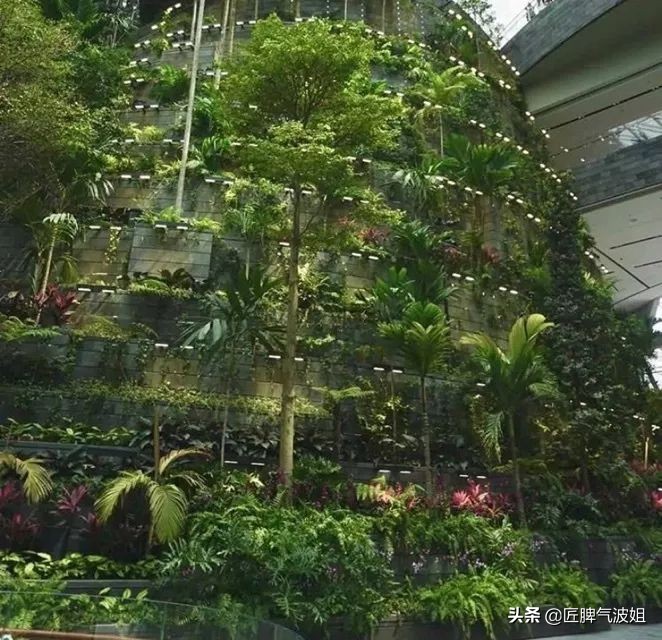 新加坡开盾构,新加坡大动作