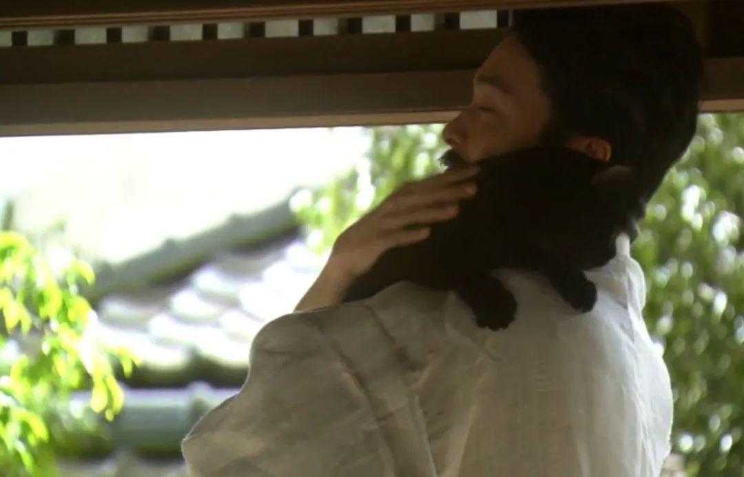 夏目漱石最经典的书,夏目漱石的心理疾病