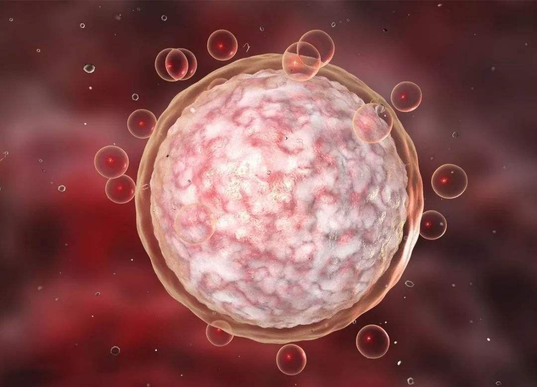 试管细节流程自己必须了解清楚吗,三代试管是不是更容易成功