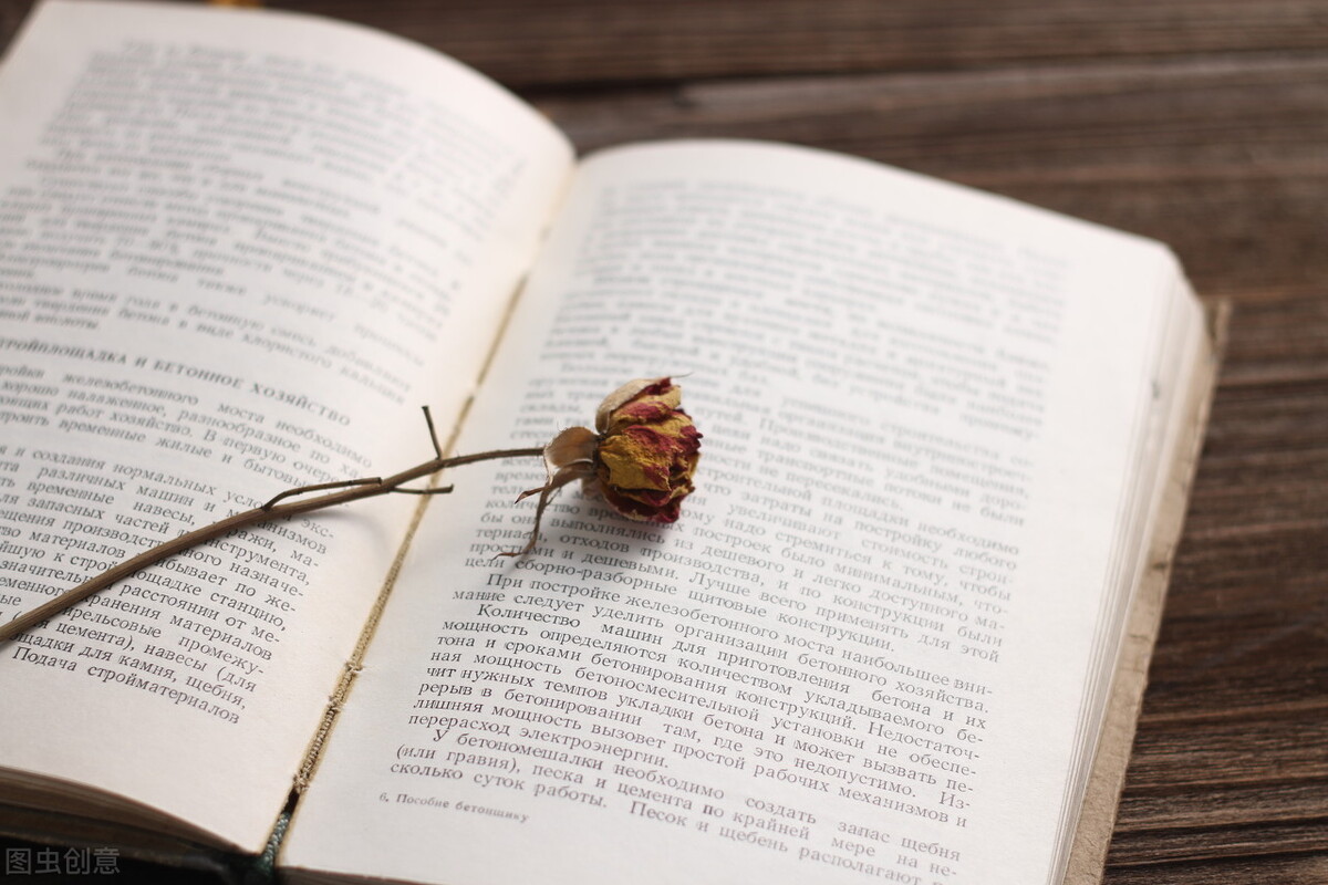 极简生活第二集,极简生活第4年