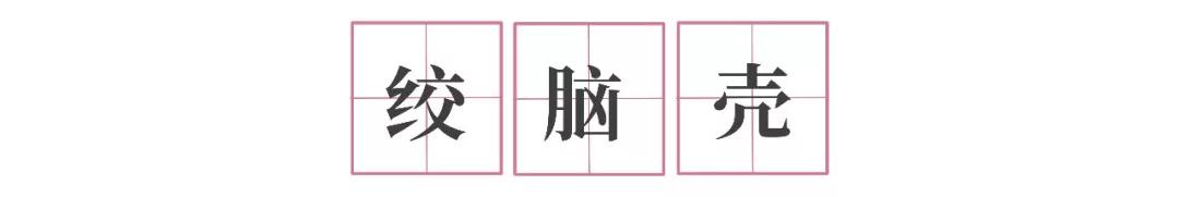 讲起抗疫故事,听战疫故事