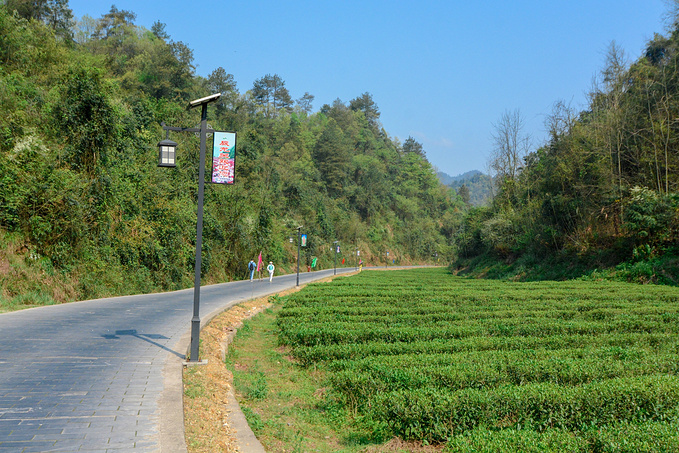疫情对湖南这里居然丝毫没有影响！0病发，还超级适合徒步旅行！