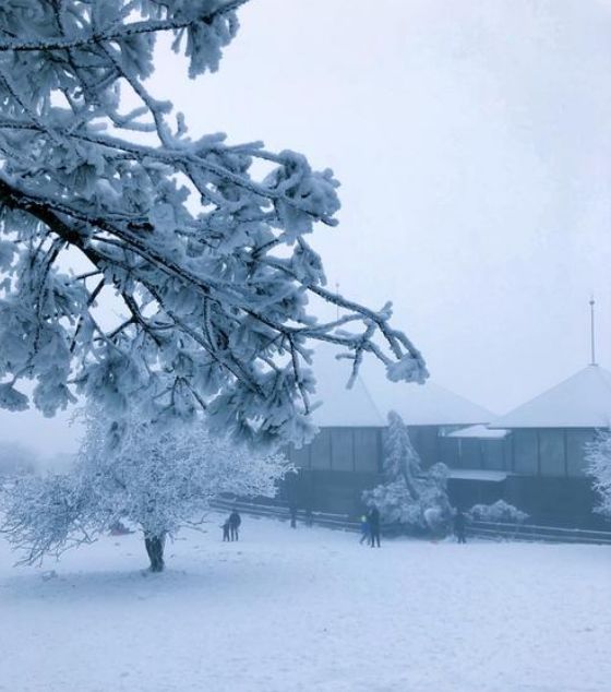 诗词里的二十四节气之大雪,描写节气大雪的诗词