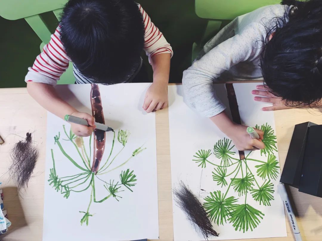 开学一周的感受和收获,幼小衔接每日必学