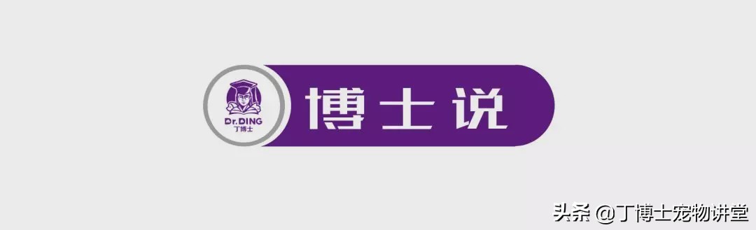 宠物猫营养补充剂怎么吃,幼猫健康饮食食谱图表