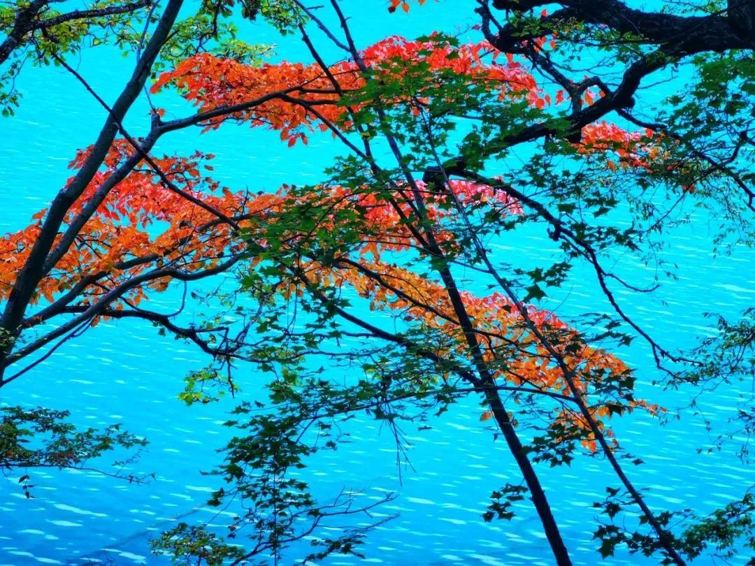 九寨沟路上招手,前方到站宁强