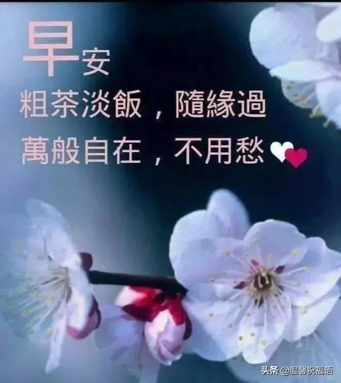 清晨早上好问候祝福动态表情图片,清晨的祝福温馨短语图片