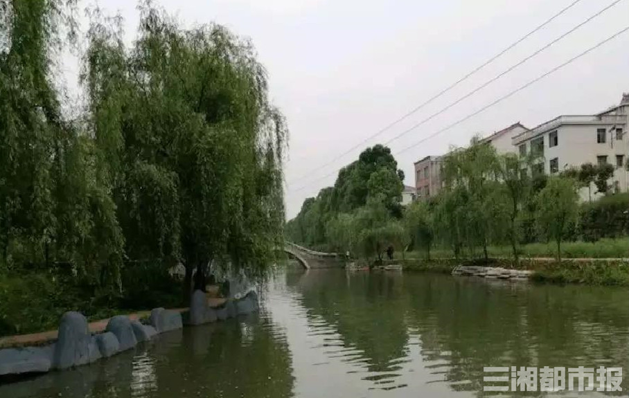 【网约湘游】南芙山庄——人间四月芳菲尽,南国芙蓉始盛开