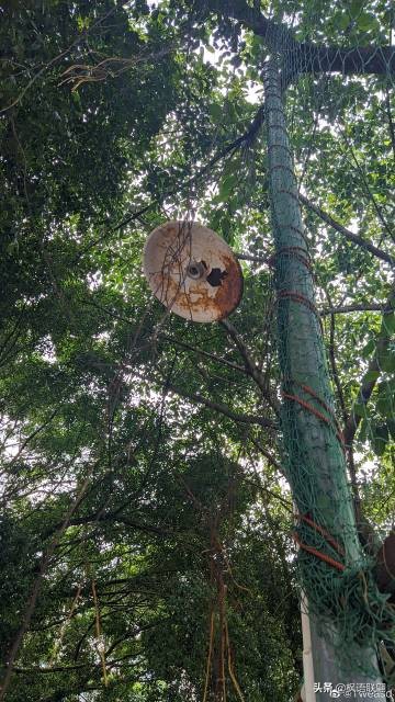 00后开学就社恐：自我介绍很害羞怎么办？