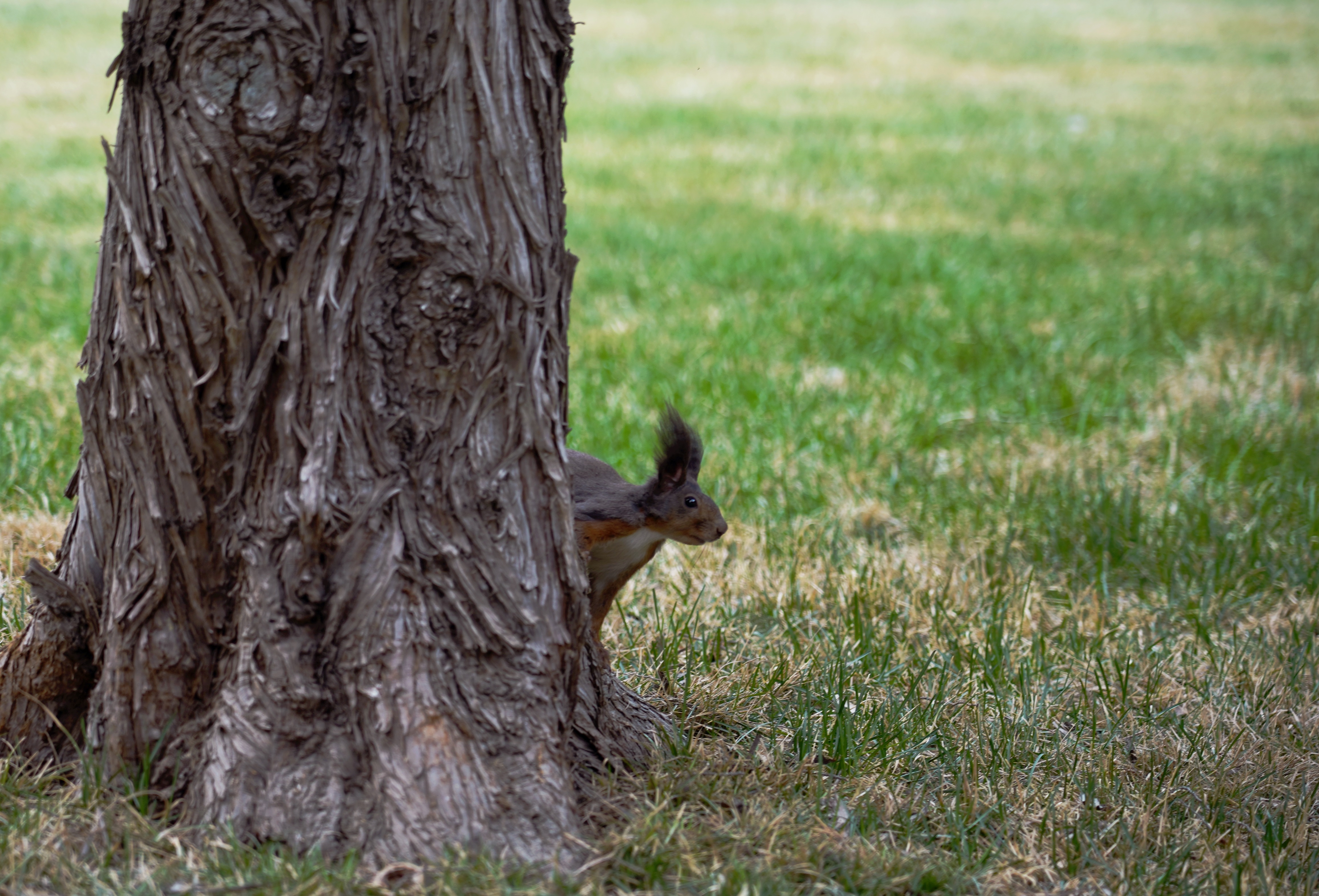 清波一勺买千钱？不能为武汉下一场樱花雨，不妨在这儿品百花香
