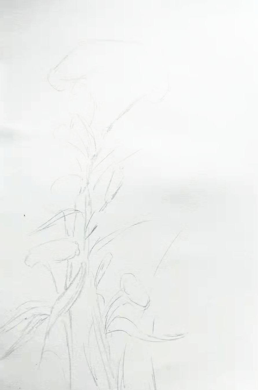 儿童画引导步骤,创意儿童画引导教程