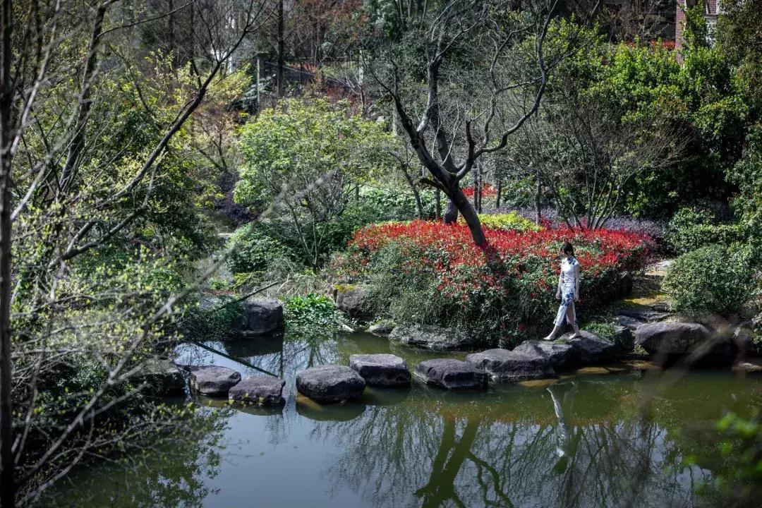 香格里拉经典风景,香格里拉自然风景