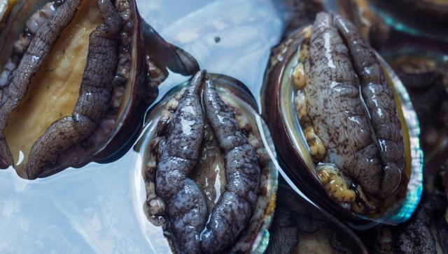 鲍鱼的10种最佳吃法儿童,鲍鱼的十种吃法拼多多