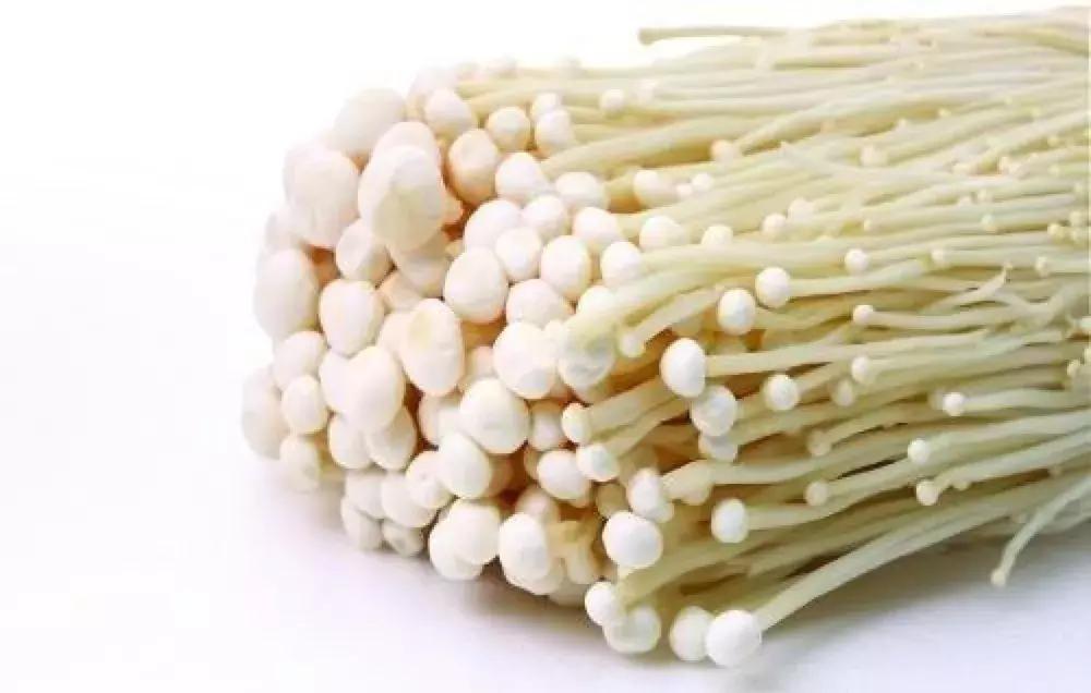 营养价值最高的十大菌菇排名红菇,上医慈行全民健康