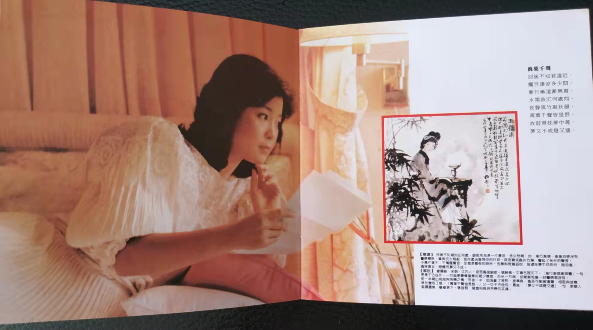 邓丽君最好听的专辑,邓丽君的淡淡幽情专辑有十二首