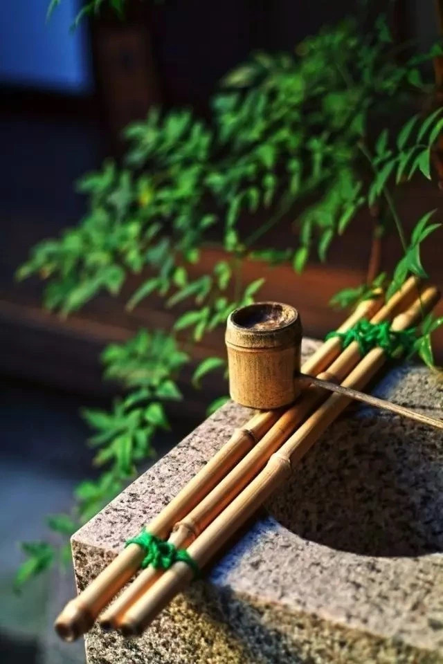 端午节不仅仅只吃粽子,端午节到了你有记得吃粽子吗