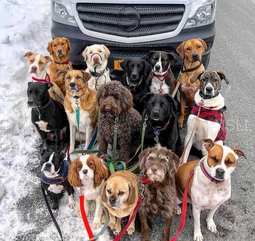 被*脑洗**成“信仰”？蔚来汽车500勇士，你们啥也不是