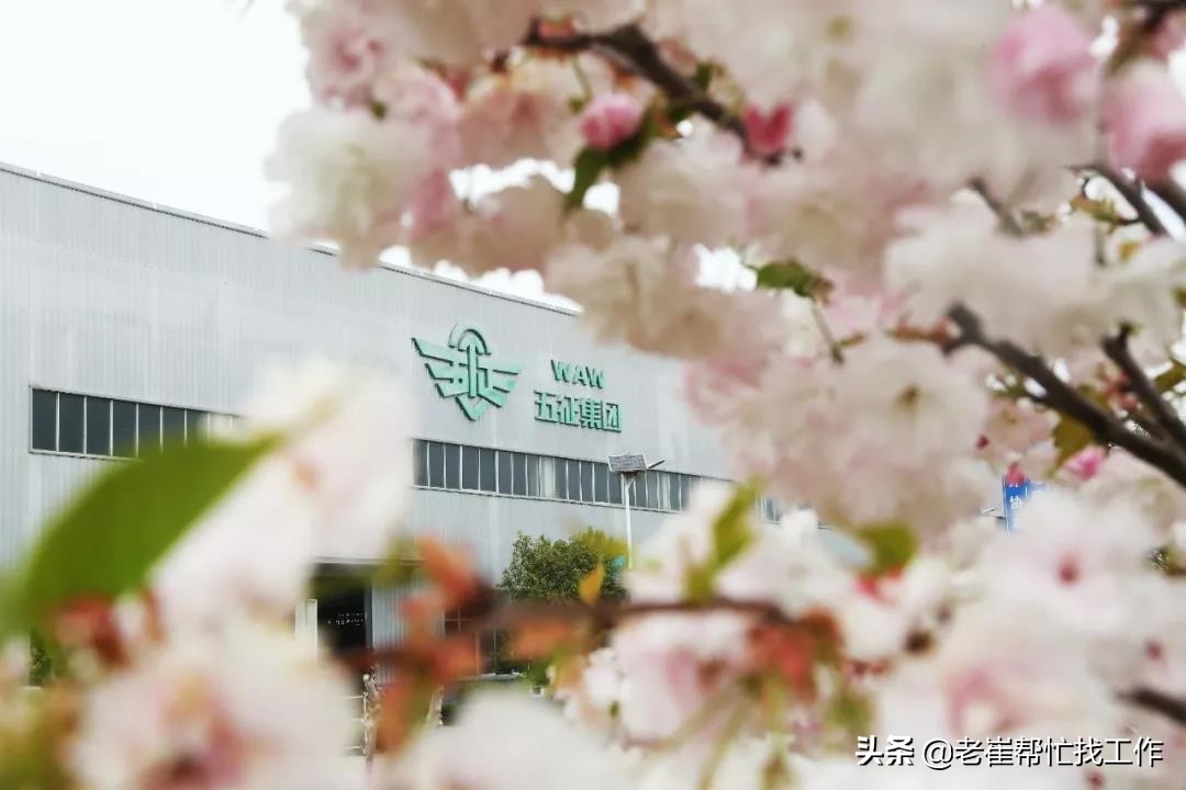 日照营销总监招聘,日照老城区销售业务招聘