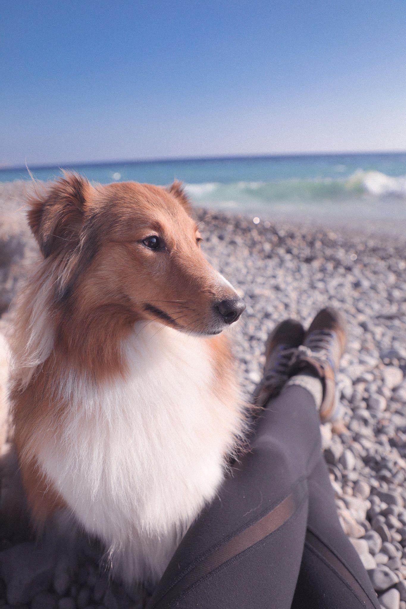 穿着劳保鞋徒步,穿着耐克鞋爬山