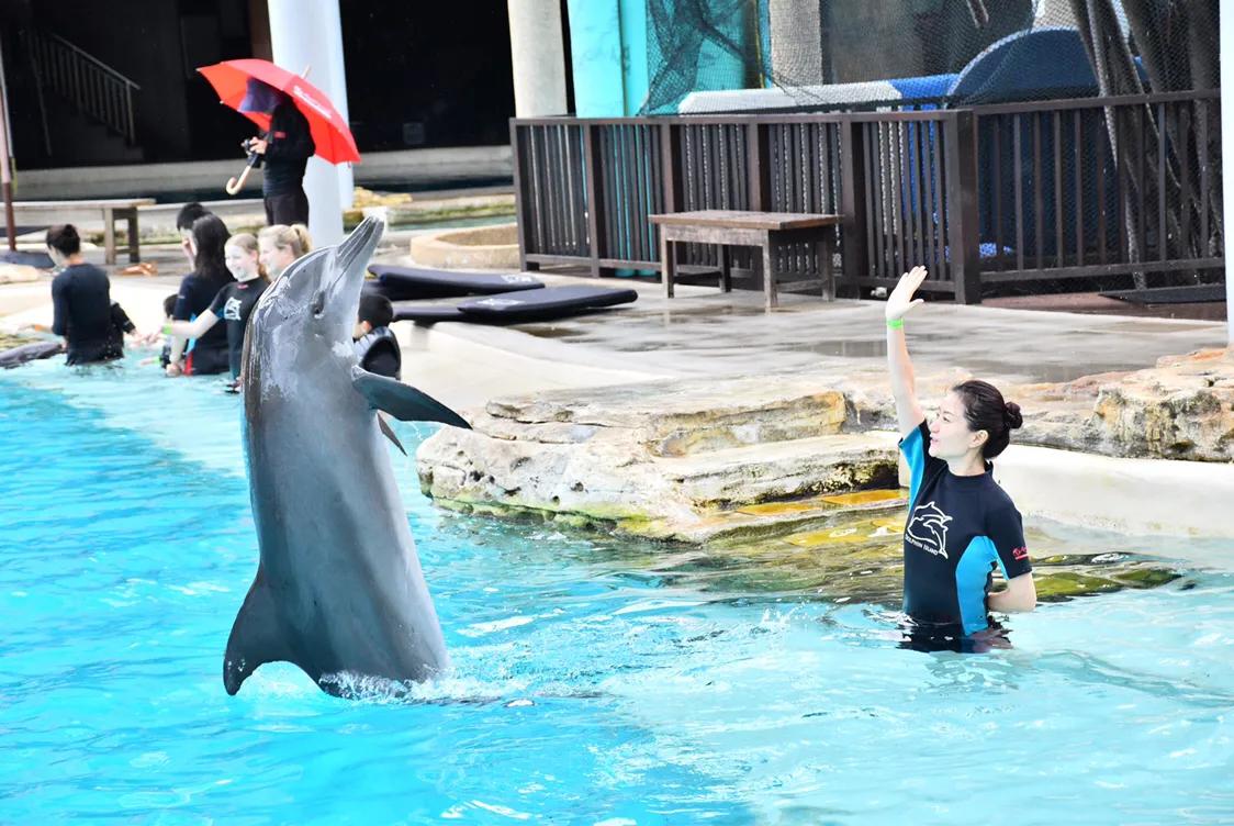 新加坡经典一日游,新加坡一日游必去景点