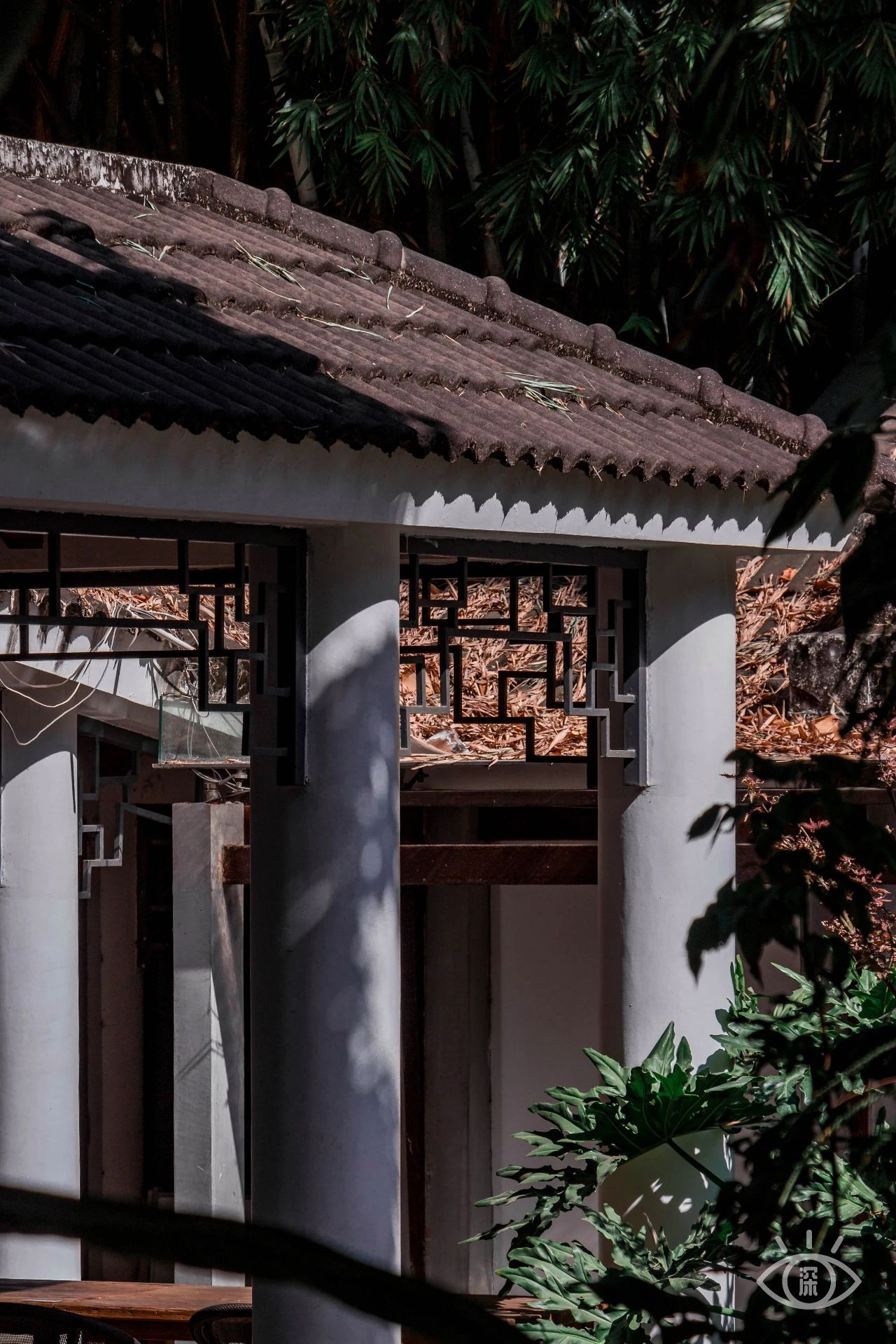 深圳各区最美的地方,深圳6个绝美地方